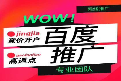 SEM实战案例：案例分析广告投放